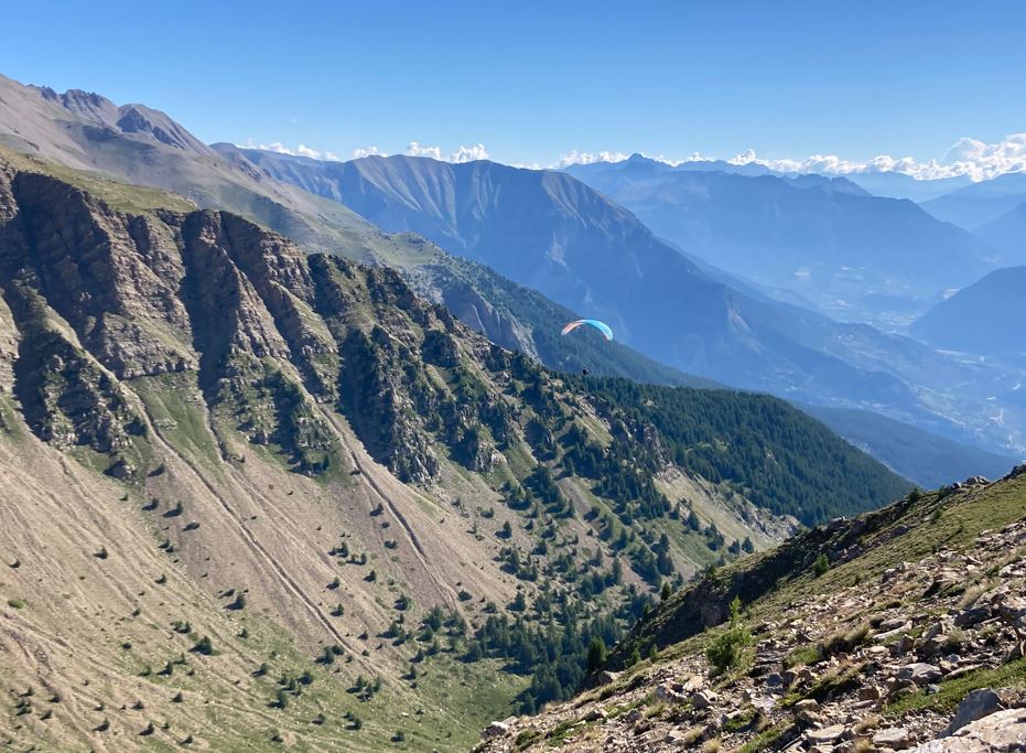 Écrins : ﻿la randonnée du Mont Guillaume par le sentier des Pépinières (Topo et photos)
